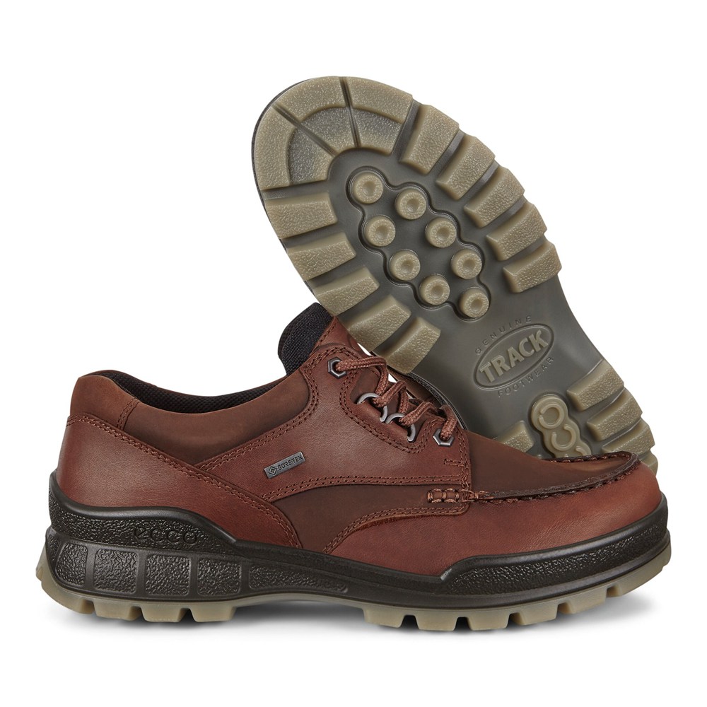 ECCO Mens Hiking Shoes Brown - Track 25 - LVX-852463